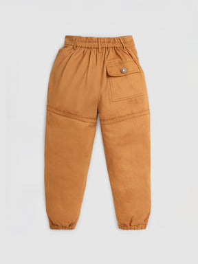 Brown Cotton Twill Pants