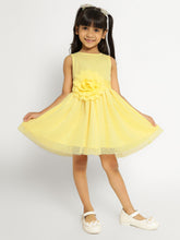 Belle Tulle Dress